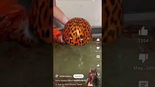 Hydro Dipping Helmet #funny#satisfying