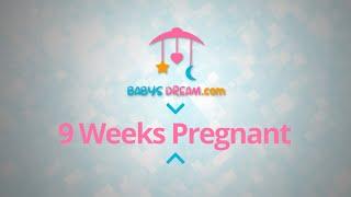 9 Weeks Pregnant | pregnancy signs and symptoms