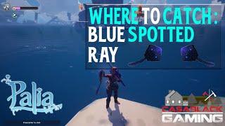 When, Where & How to Catch the Blue Spotted Ray Fish in Palia | 1 Min Guide