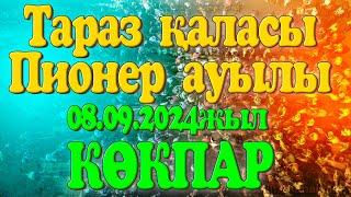 Тараз қаласы Пионер ауылы Ноғайбаевтар әулеті берген көкпар 08.09.2024жыл