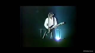 Pink Floyd - Comfortably Numb  The Wall 1980 Live