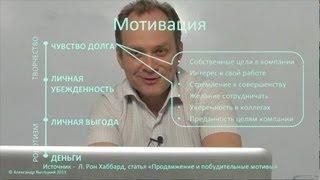 Как стать лидером для своих сотрудников? Власть и лидерство в компании / Александр Высоцкий