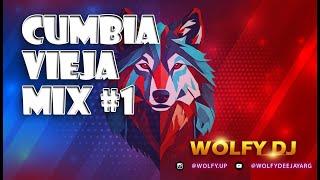 Cumbias Viejitas Mix | Wolfy DJ