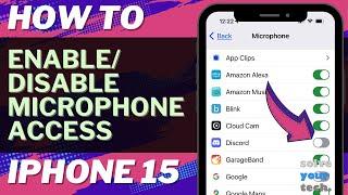How to Enable or Disable Microphone Access on iPhone 15