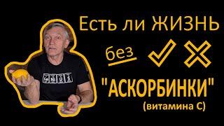 ОБЗОР: Есть ли жизнь без Витамина С?