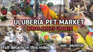 ULUBERIA PET MARKET BIRD'S PRICES UPDATE ON 6th JULY 2024 #uluberia_pet_market #cheapestprice #viral