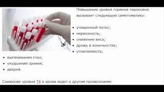 Тироксин свободный (Т4):  Норма у женщин – какая она должна быть?