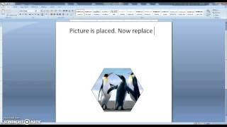 MS Word Tutorial - How to insert a picture into a shape