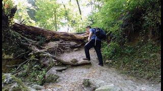 Hiking Near River through the Forest - Baker River Trail &  waterfall Trail