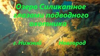 Подводная охота озеро Силикатное, Нижний Новгород