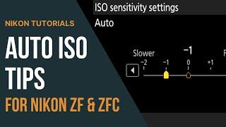 Tips for Using Auto ISO in the Nikon Zf & Zfc