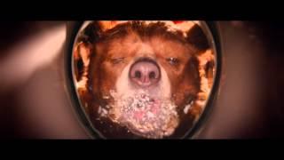 Paddington - Official Trailer - Dimension Films