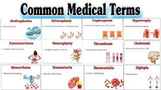 Common Medical Terms / Medical Terminology / Parts-2