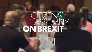 The Citizens' Assembly on Brexit