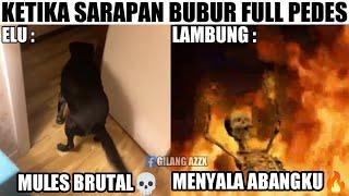 Langsung Mules Brutal