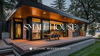 Modern Small House: Organic Modern Interior Design Tips for Contemporary Houses and Small Gardens