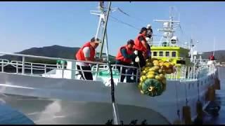 Mv.Teru Maru ( Kapal Ikan Jepang) Ready To Fishing Ground