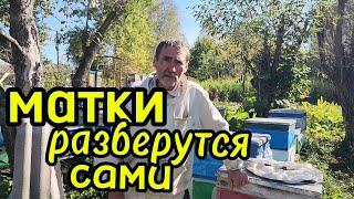 Трудности объединения четырёх семей в две в кассетном лежаке . Вторая часть