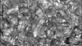 sucroseboilingcrystallization