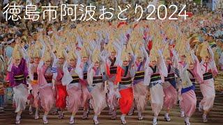 【阿波踊り2024】阿波おどりファン必見！真正面から見た総おどりが壮観すぎた！ 本場徳島阿波おどり | Awaodori in Tokushima Japan