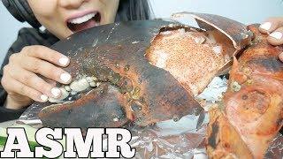 ASMR GIANT CLAW from a 15lb LOBSTER (EATING SOUNDS) NO TALKING | SAS-ASMR