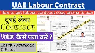 How to get labour contract copy online in uae | How to download labour contract UAE