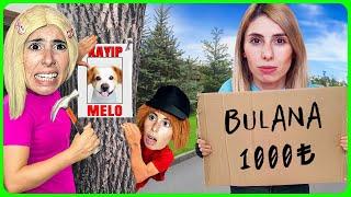 EKİPLE BİRLİKTE KÖPEĞİM MELO KAÇIRILDI DİLA KENT