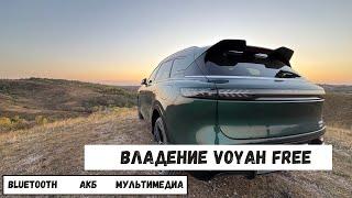 Voyah Free 2024 Блютуз ключ и АКБ