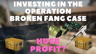 Is The OPERATION BROKEN FANG CASE A Good INVESTMENT? | How To INVEST