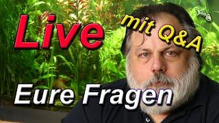 LIVE - mit Q&A #551 - Deine Fragen an den Aquarium-Profi - Stelle dein Aquarium live vor