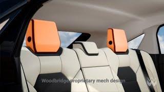 Woodbridge designed head restraint mechanism