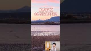 心理 Q&A我想转行做心理咨询师可好？#Shorts