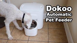 Dokoo Automatic Large Dog Pet Feeder! Hands Free Feeding for 15 Days!