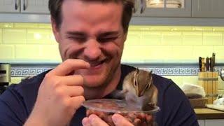 Chipmunk Frantically Tries to Open Box of Nuts