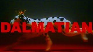 PEOPLE 1 “DALMATIAN” （Official Video）