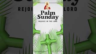 Palm Sunday Whatsapp Status 2024 |PALM SUNDAY |Hosanna Whatsapp Status