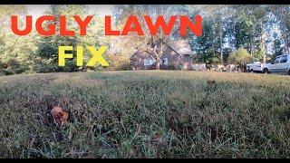First step to fix an UGLY LAWN // Project Lawn Ep.1