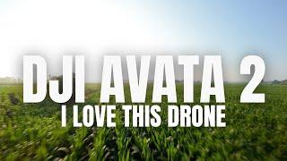 DJI Avata 2 Overview | WHAT A BEAST