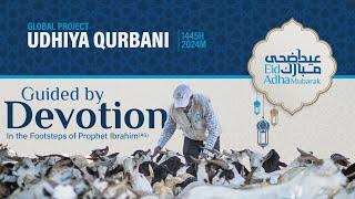 Give Your Qurbani With Helping Hand USA | Guided By Devotion