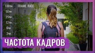 Частота Кадров (Frame Rate). Какую Частоту Кадров Выбрать Для Съемки Видео?