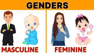 Genders | Masculine gender and Feminine Gender | learn about gender | Gender for class 1 | #gender