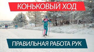 Работа рук в коньковом ходе.