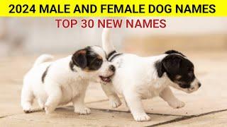 30 Male and Female Dog Names  2024 : Top 30 dog Names : new dog names