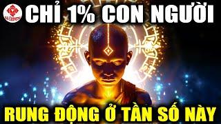 Thử Ngay Để Biết Bạn Có Thuộc 1% Người Rung Ở Tần Số Đặc Biệt Này Không! | BA Universe