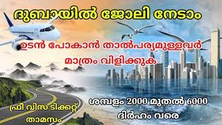 Dubai job vacancy 2024 Malayalam| UAE job vacancy| Gulf job vacancy Malayalam | Today job vacancy