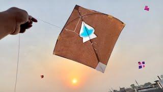 Kite Looting  | Kite Looting Ki Video | Kite Catching