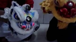 Mini Lion Arts II By Jefry Than |Barongsai tangan