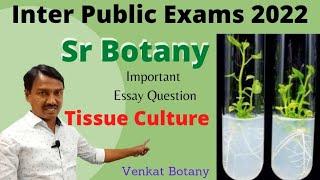 Tissue Culture Technique | Sr Botany Important Questions Venkat Botany