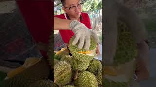 Intip Unboxing Durian Black Thorn Malaysia #durian #duriansultan #duriandurihitam #durenviral