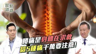 腰痛是身體在求救 這5種痛千萬要注意！5 Types of Low back Pain to Watch Out For【#醫點就通】EP15#緯來育樂台#海芬ft.#韓偉#蔡承儒2025.01.01